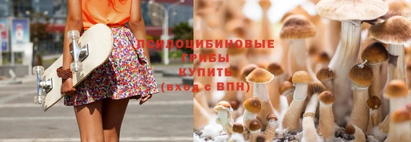 индика Верея