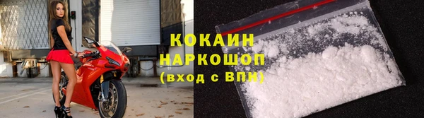 индика Верея