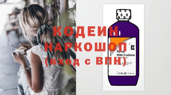индика Верея