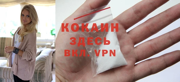 индика Верея