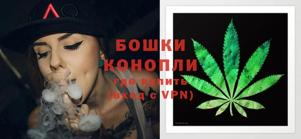 индика Верея