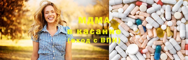 индика Верея